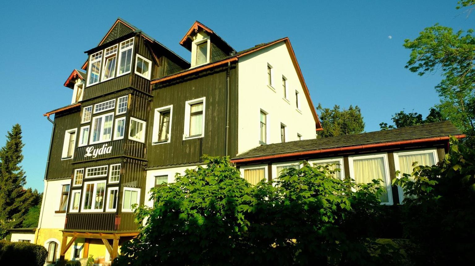 Villa Lydia Altenberg Buitenkant foto